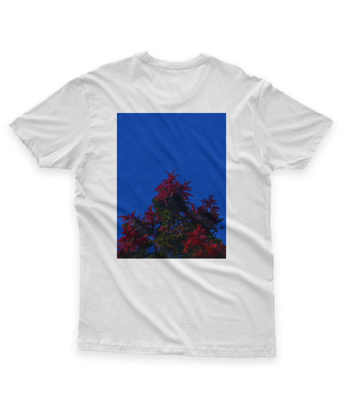 Camisa - Céu Azul E A Planta Vermelha
