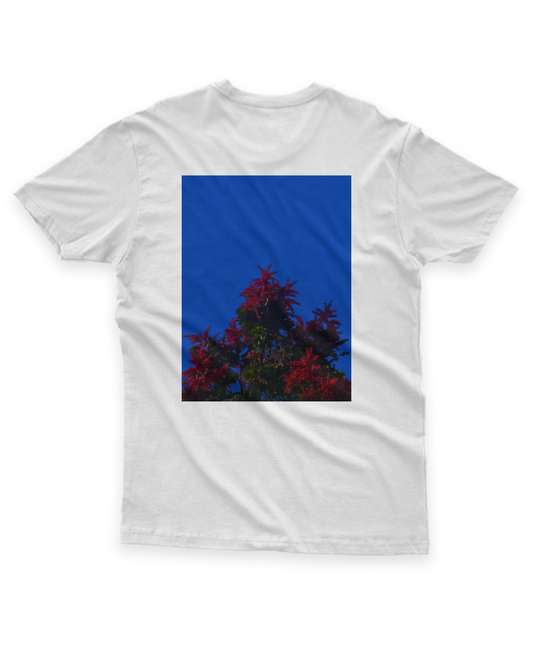 Camisa - Céu Azul E A Planta Vermelha